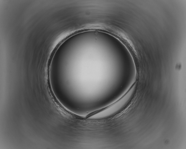 X0000096161328200801181216