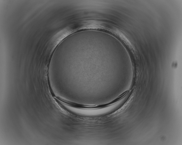 X0000096161329200801181216