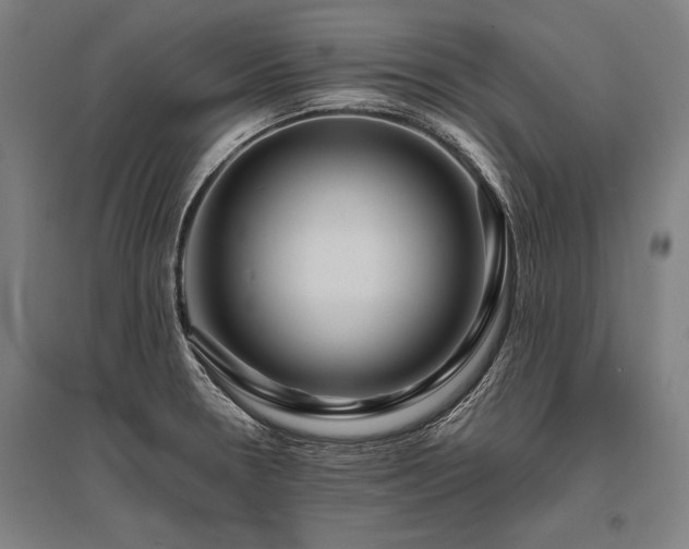 X0000096161330200801181216