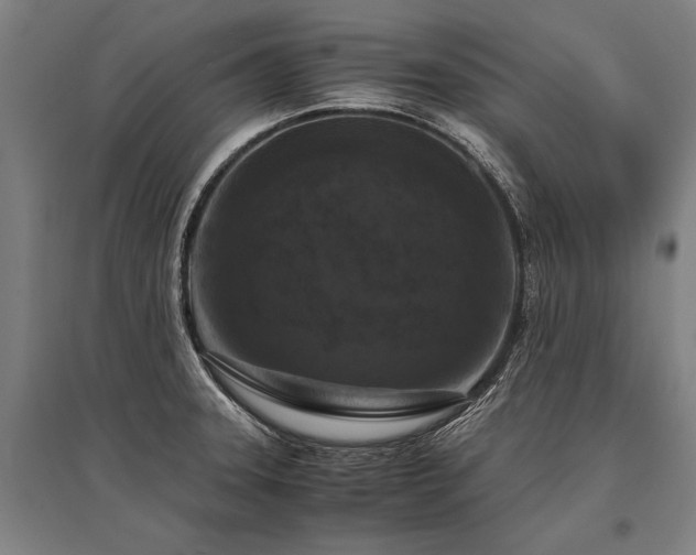 X0000096161331200801181216
