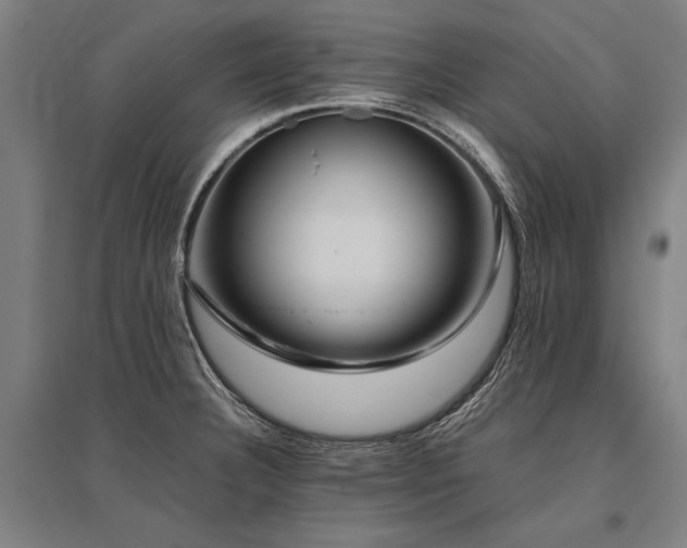X0000096161332200801181216