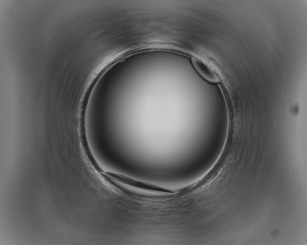 X0000096161333200801181216
