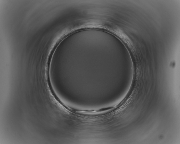 X0000096161334200801181216