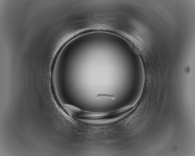 X0000096161335200801181216