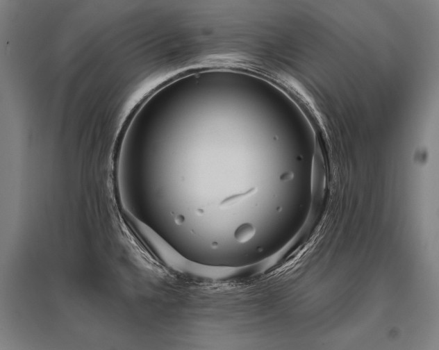 X0000096161336200801181216