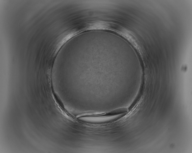 X0000096161337200801181216