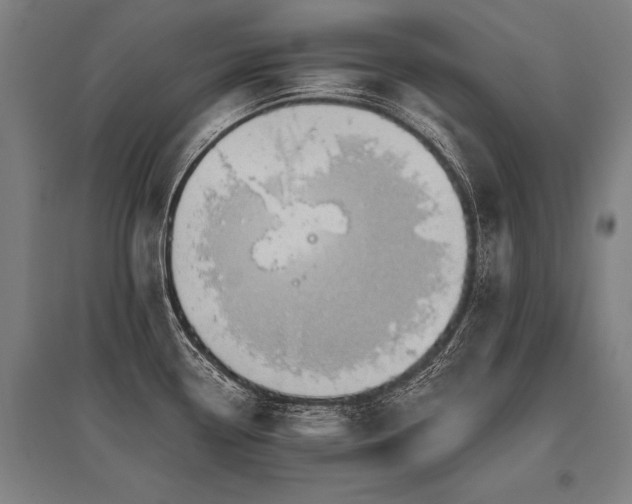 X0000096161338200801181216