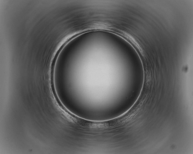 X0000096161339200801181216