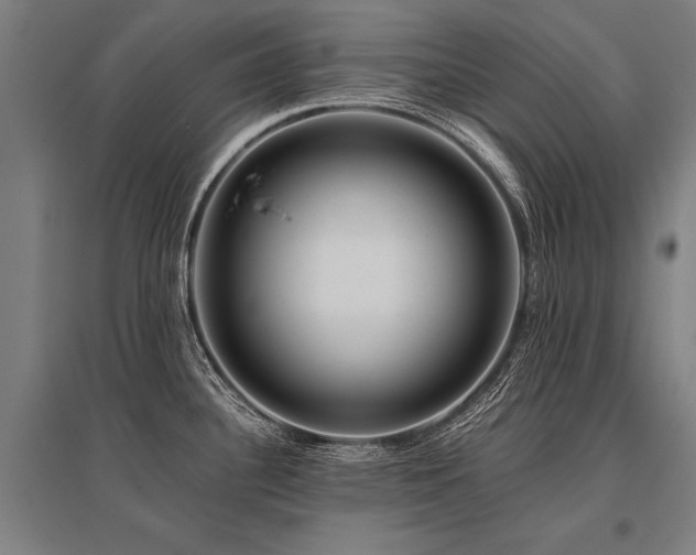 X0000096161340200801181216