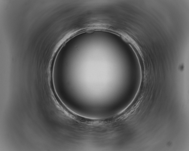 X0000096161341200801181216