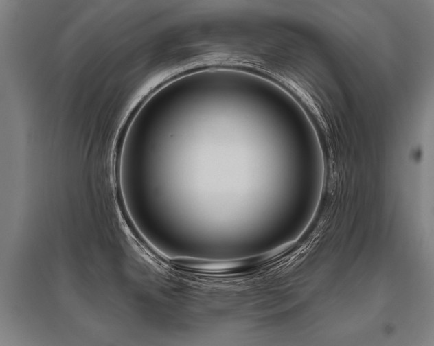 X0000096161342200801181216