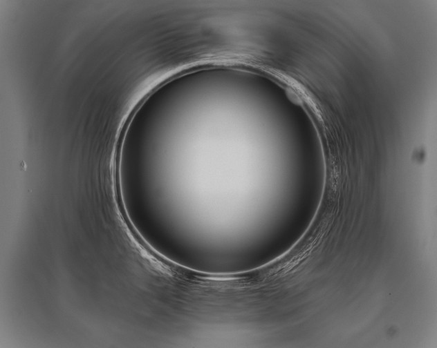 X0000096161343200801181216