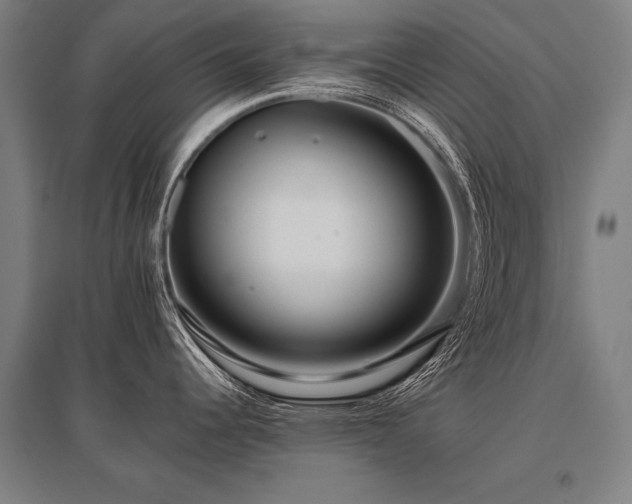 X0000096161344200801181216