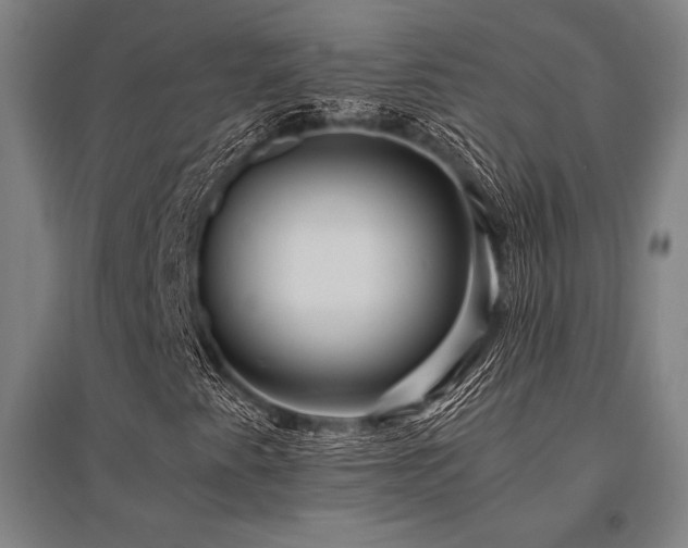 X0000096161345200801181216