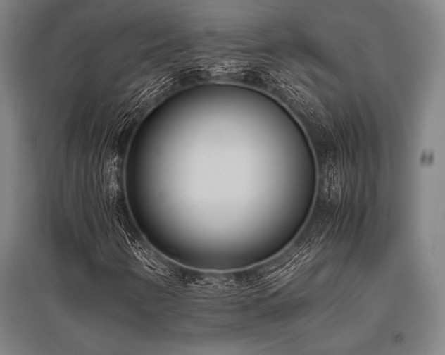 X0000096161346200801181216