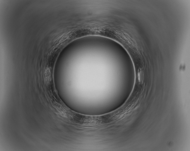 X0000096161347200801181215