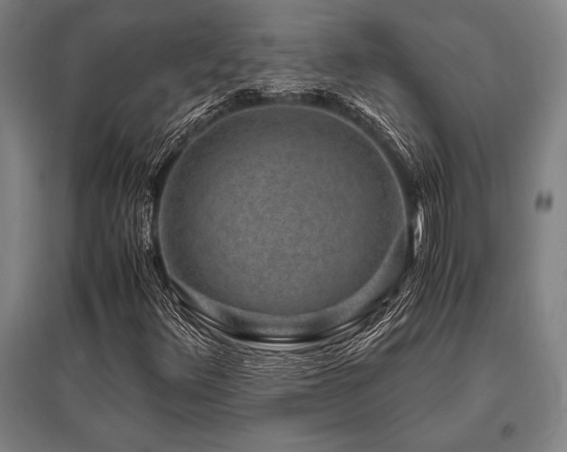 X0000096161348200801181215