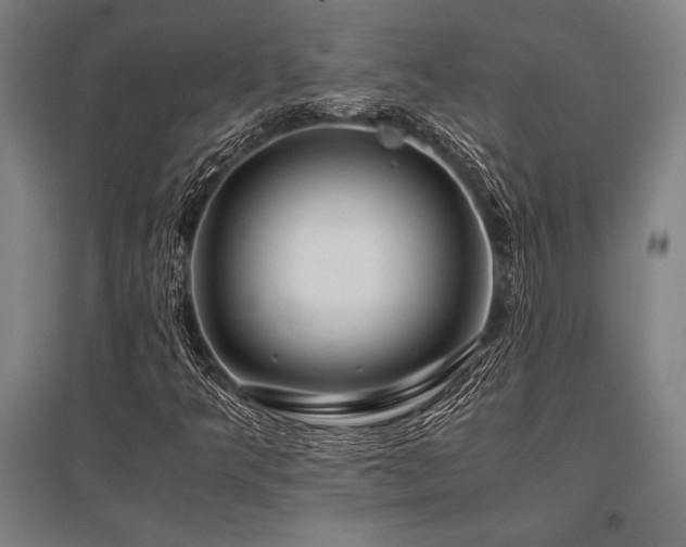 X0000096161349200801181215