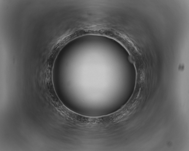 X0000096161350200801181215
