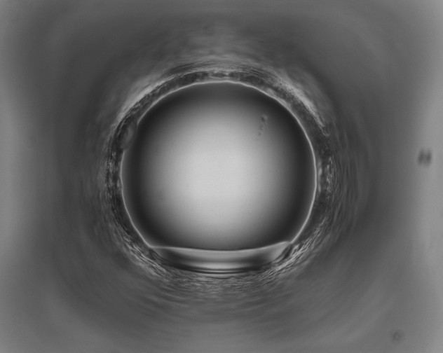 X0000096161352200801181215