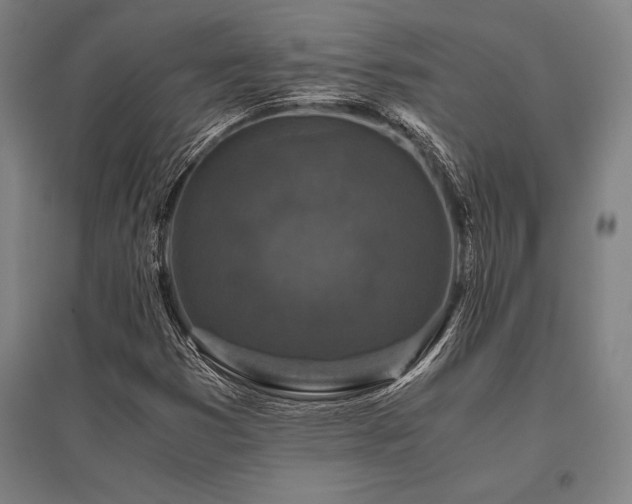X0000096161353200801181215