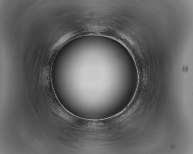 X0000096161354200801181215