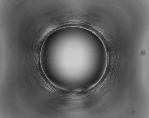 X0000096161355200801181215