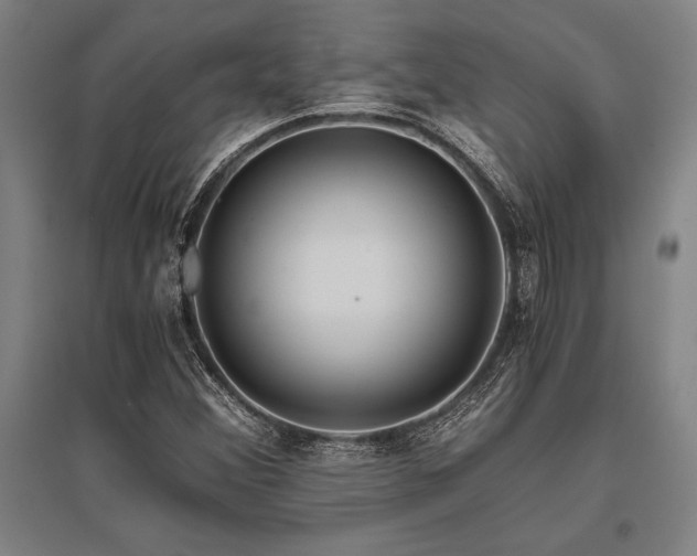 X0000096161356200801181215