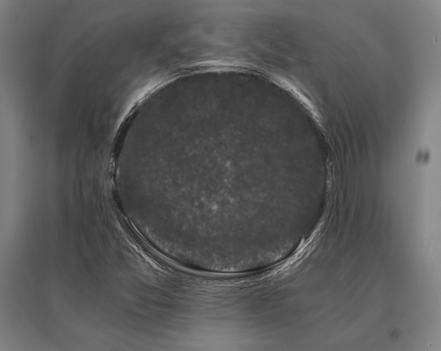 X0000096161357200801181215