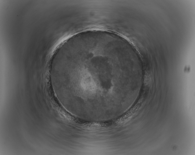 X0000096161359200801181215