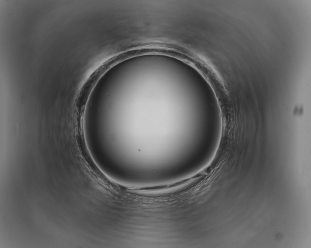 X0000096161360200801181215