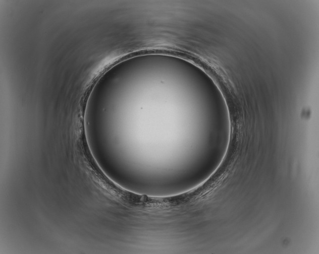 X0000096161363200801181215