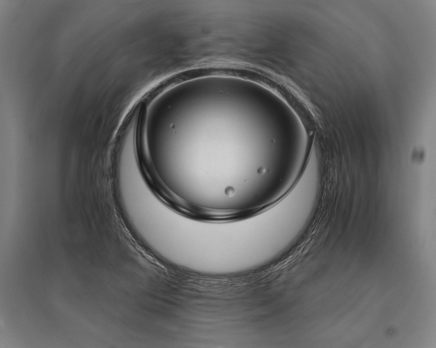 X0000096161364200801181215