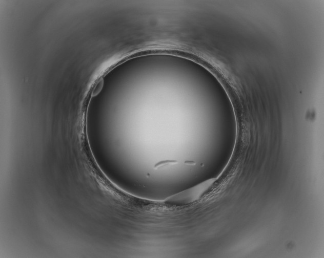 X0000096161366200801181215