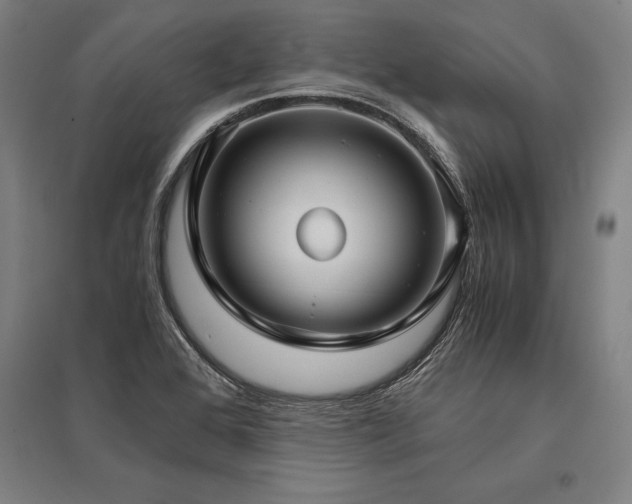 X0000096161368200801181215