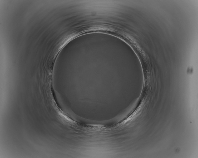 X0000096161369200801181215
