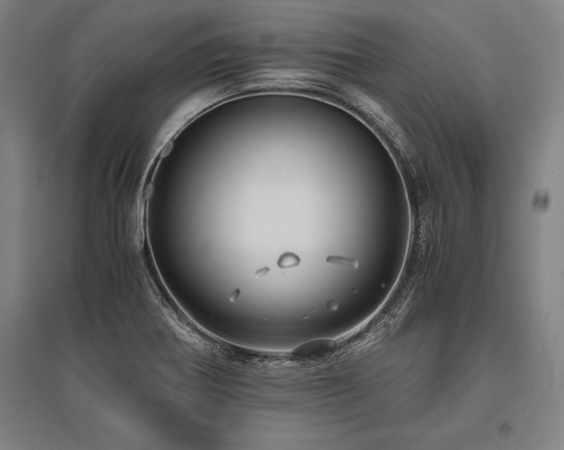 X0000096161370200801181215