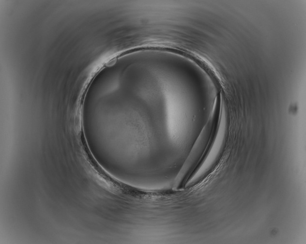 X0000096161371200801181215