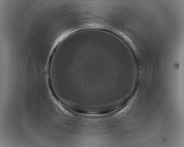 X0000096161373200801181215
