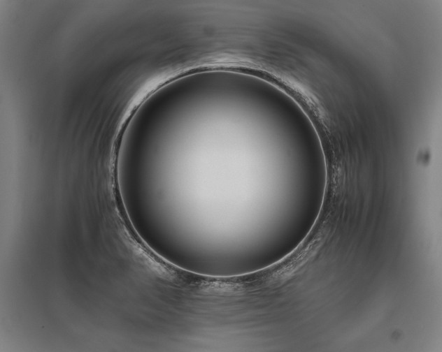 X0000096161374200801181215
