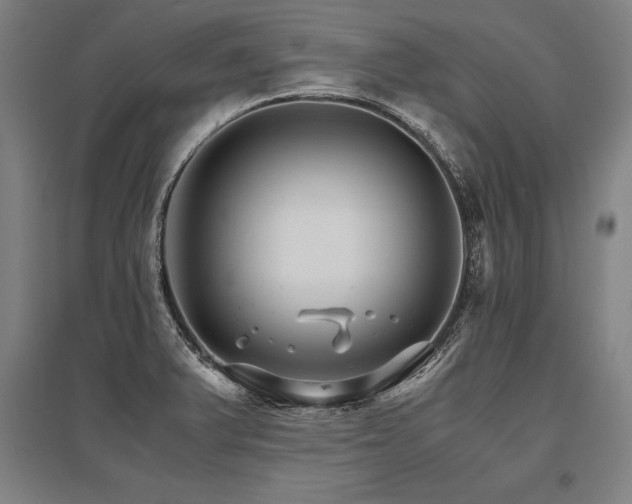 X0000096161375200801181215