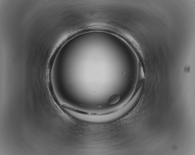 X0000096161376200801181215
