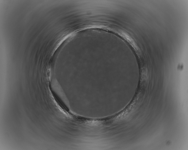 X0000096161377200801181215