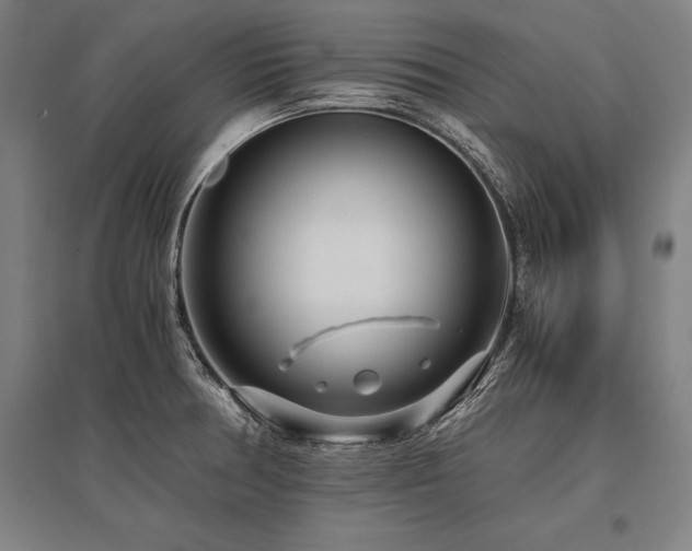 X0000096161378200801181215
