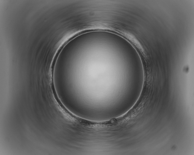 X0000096161380200801181215