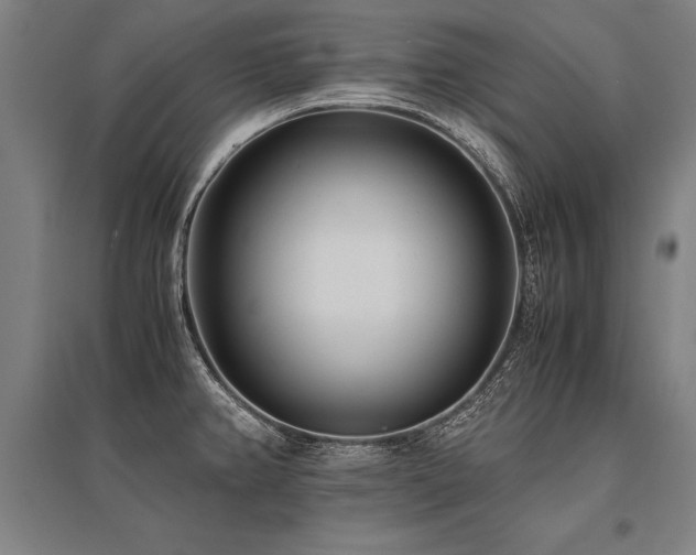 X0000096161382200801181215