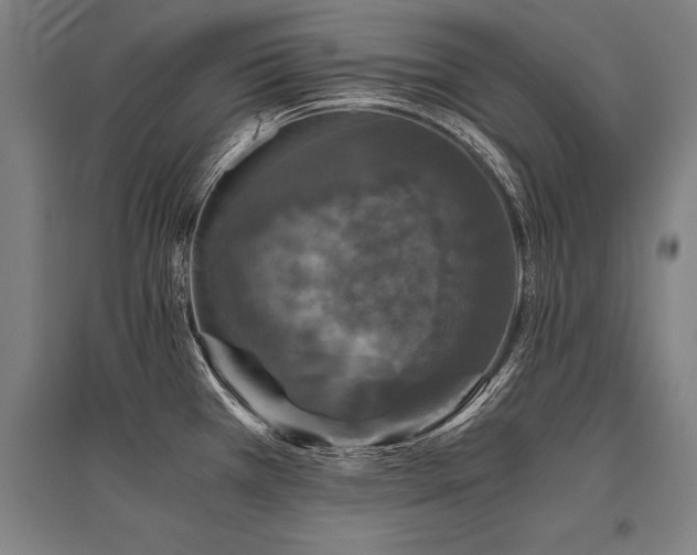 X0000096161385200801181215