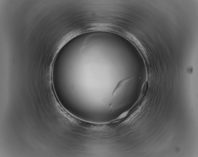 X0000096161386200801181215