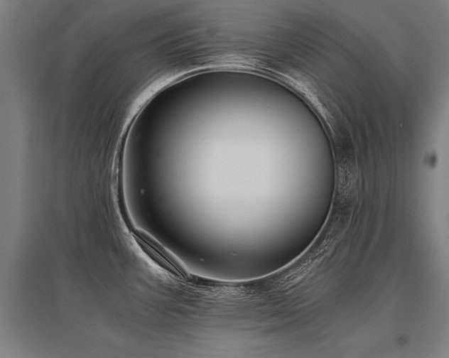 X0000096161387200801181215