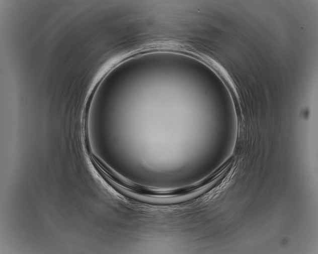 X0000096161389200801181215